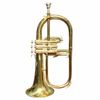  Kèn Flugelhorn Đồng Vàng Westpoint - Thanh Lý 