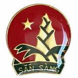  Huy Hiệu Đội Thiếu Niên Việt Nam 