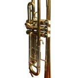  Kèn Trumpet Đồng Đỏ Mạ Vàng Carlton 