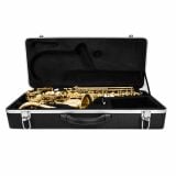  Kèn Saxophone Alto Albert Rumania 