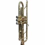  Kèn Trumpet Minerva MTR-200 Series 080071 - Thanh Lý 