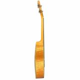  Đàn Ukulele Concert 24 Inch Gỗ Cẩm Lai Sagtino YWUK-24-0F 