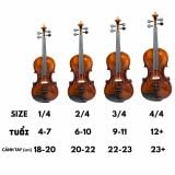  Đàn Violin Victoria DV-013B 