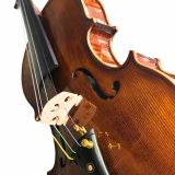  Đàn Violin Victoria DV-016 Size 4/4 