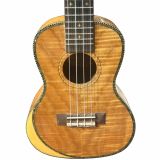  Đàn Ukulele Concert 24 Inch Gỗ Cẩm Lai Sagtino YWUK-24-0F 
