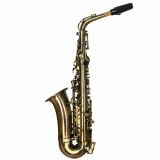  Kèn Saxophone Alto Yanagisawa Japan 