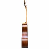  Đàn Guitar Acoustic Amari By Enya AM-428C 