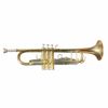  Kèn Trumpet Đồng Đỏ Mạ Vàng Carlton 