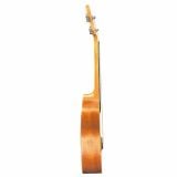  Đàn Ukulele Concert 24 Inch Woodstock 