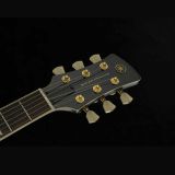  Đàn Guitar Điện Yamaha Revstar RSP20B 60TH (Bản Kỷ Niệm 60 Năm) 