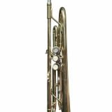  Kèn Trumpet Minerva MTR-200 Series 080071 - Thanh Lý 
