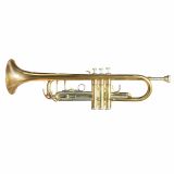  Kèn Trumpet Đồng Đỏ Mạ Vàng Carlton 