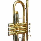  Kèn Trumpet Đồng Đỏ Mạ Vàng Carlton 
