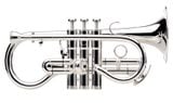  Kèn Soprano Cornet Eb Besson Sovereign 924G 