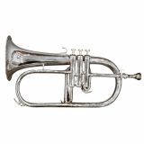  Kèn Flugelhorn 