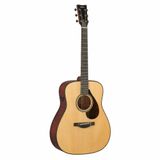  Đàn Guitar Acoustic Yamaha FG9 M 