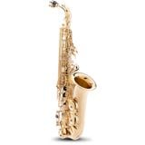  Kèn Alto Saxophone Etude 