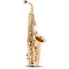  Kèn Alto Saxophone Etude 