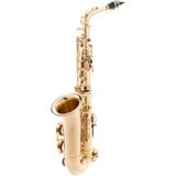  Kèn Alto Saxophone Etude 