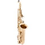  Kèn Alto Saxophone Etude 