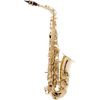  Kèn Alto Saxophone Etude 