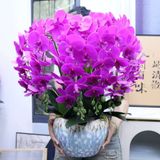  Bình Hoa Lan Hồ Điệp Giả Trang Trí Tết BKCECN-9720 