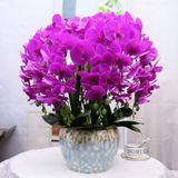  Bình Hoa Lan Hồ Điệp Giả Trang Trí Tết BKCECN-9720 