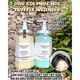  Xả Phục Hồi Đa Tầng Nấm Truffle Weilaiya BKCOKR-9005 