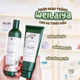  Dầu gội xả gừng Weilaiya BKCOKR-9038 