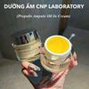 Kem Dưỡng CNP Propolis Ampule In Cream BKCOKR-9082