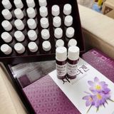  Collagen Saffron Nhụy Hoa Nghệ Tây BKCOKR-9101 