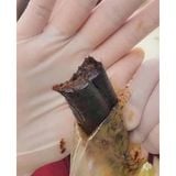  Sâm Tẩm Mật Ong Nguyên Củ 500g BKHEKR-9209 