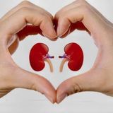  Thuốc bổ thận Kwangdong BKHEKR-9233 