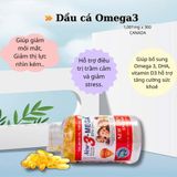  Dầu Cá Omega 3 Hộp 300 Viên BKHEKR-9253 