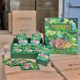  Nước Mát Gan Sâm Núi Đông Trùng Hạ Thảo BKHEKR-9289 