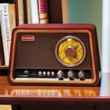 Đài Radio Cổ Điển Raiseng R-2099BT BKHFCN-9036 