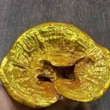  Cây Nấm Linh Chi Bằng Đồng Mạ Vàng BKMECN-9801 