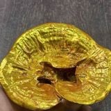  Cây Nấm Linh Chi Bằng Đồng Mạ Vàng BKMECN-9801 