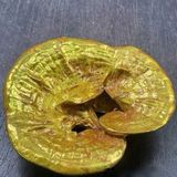  Cây Nấm Linh Chi Bằng Đồng Mạ Vàng BKMECN-9801 