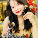  Nấm Lim Xanh Rừng Tự Nhiên BKNHVN-9021 