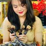  Nấm Lim Xanh Rừng Tự Nhiên BKNHVN-9021 