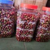  Nho Rừng Tươi Sạch BKNHVN-9022 