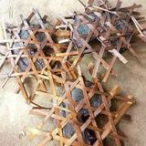  Dạ Dày Nhím Rừng BKNHVN-9031 