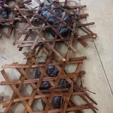  Dạ Dày Nhím Rừng BKNHVN-9031 