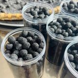  Viên hà thủ ô tẩm mật ong rừng BKNHVN-9035 