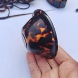  Chén Trà Đồi Mồi Hoa Văn Vân Sừng Cổ Sưu Tầm BKSTCN-9626 