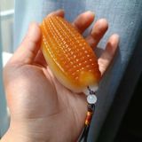  Bắp ngô ngọc hoàng long BKSTCN-9642 
