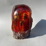  Miếng hổ phách ve sầu cỡ lớn Trưng bày ưng BKHFCN-9075 