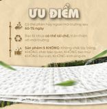  Túi 50 gói khăn ướt vải sợi tre kháng khuẩn EcoBamboo gói 1 tờ không mùi 