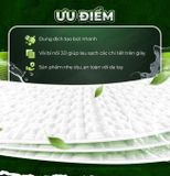  Hộp 20 gói Khăn ướt lau giày thể thao cấp tốc Sneaker EcoWipes gói 1 tờ hương quế khử mùi 